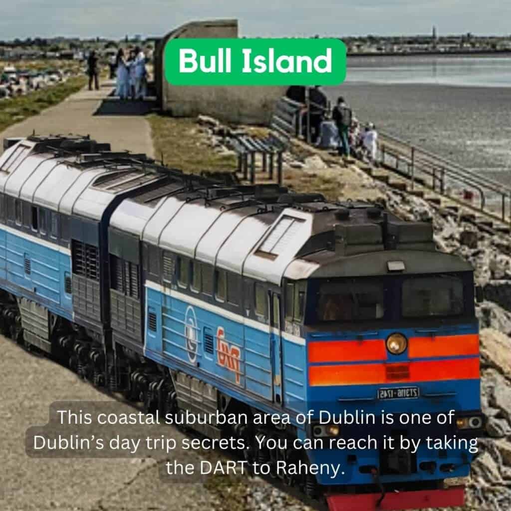 Blue train on coastal track in Dublin's suburb, with people near the beach.