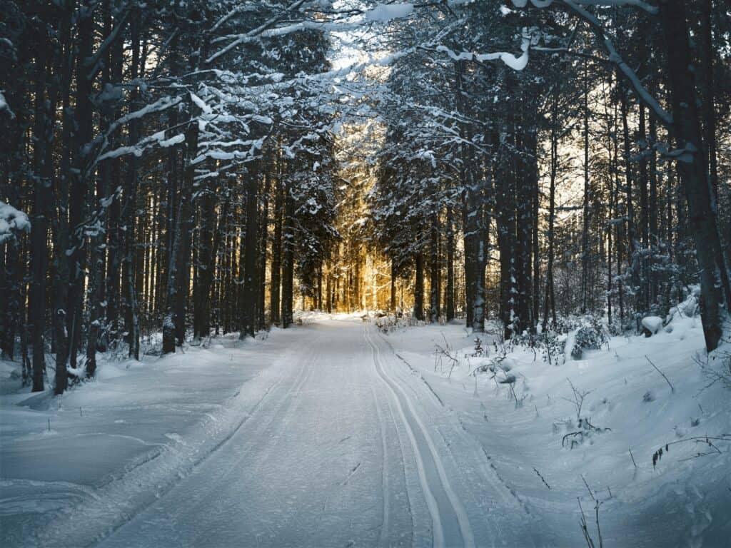 weather in winter in ireland
