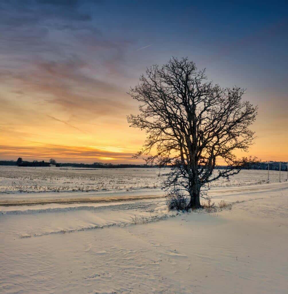 winter solstice