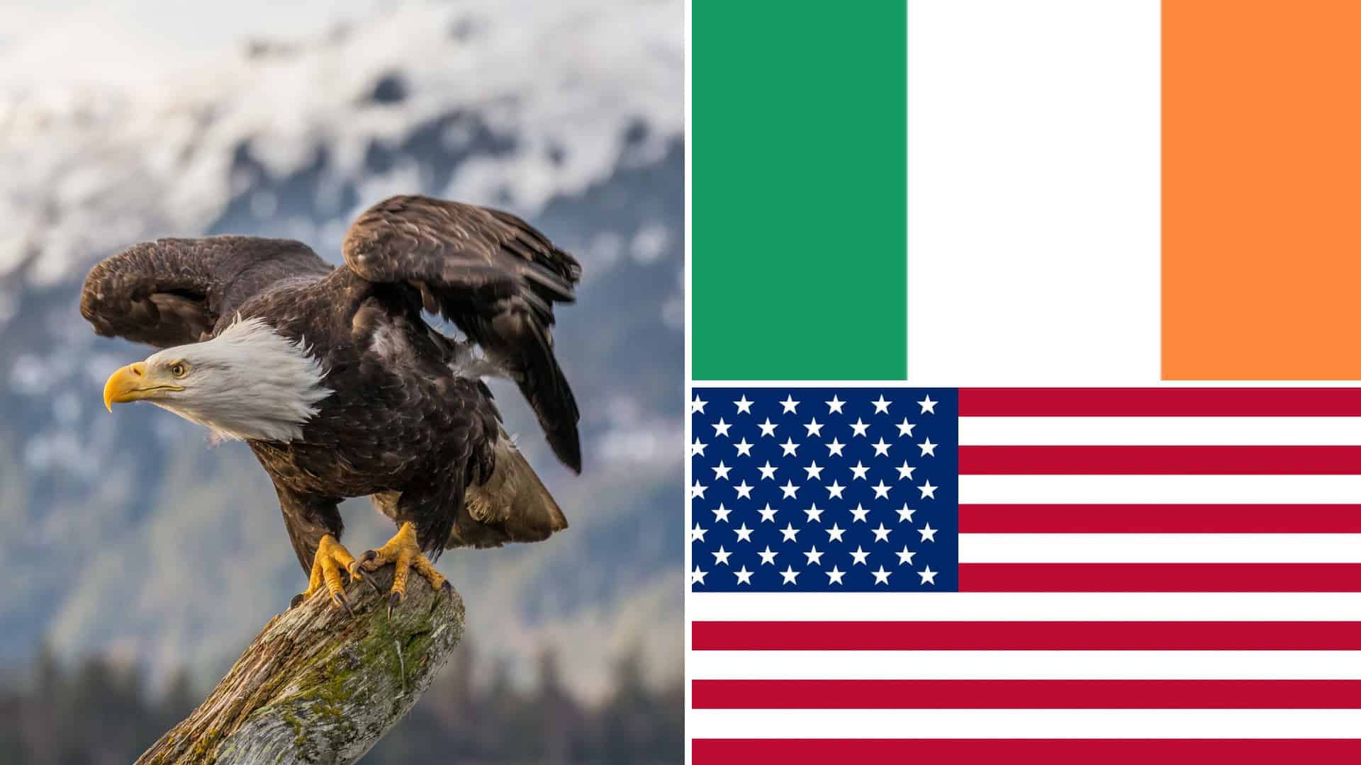 The Irish in the USA