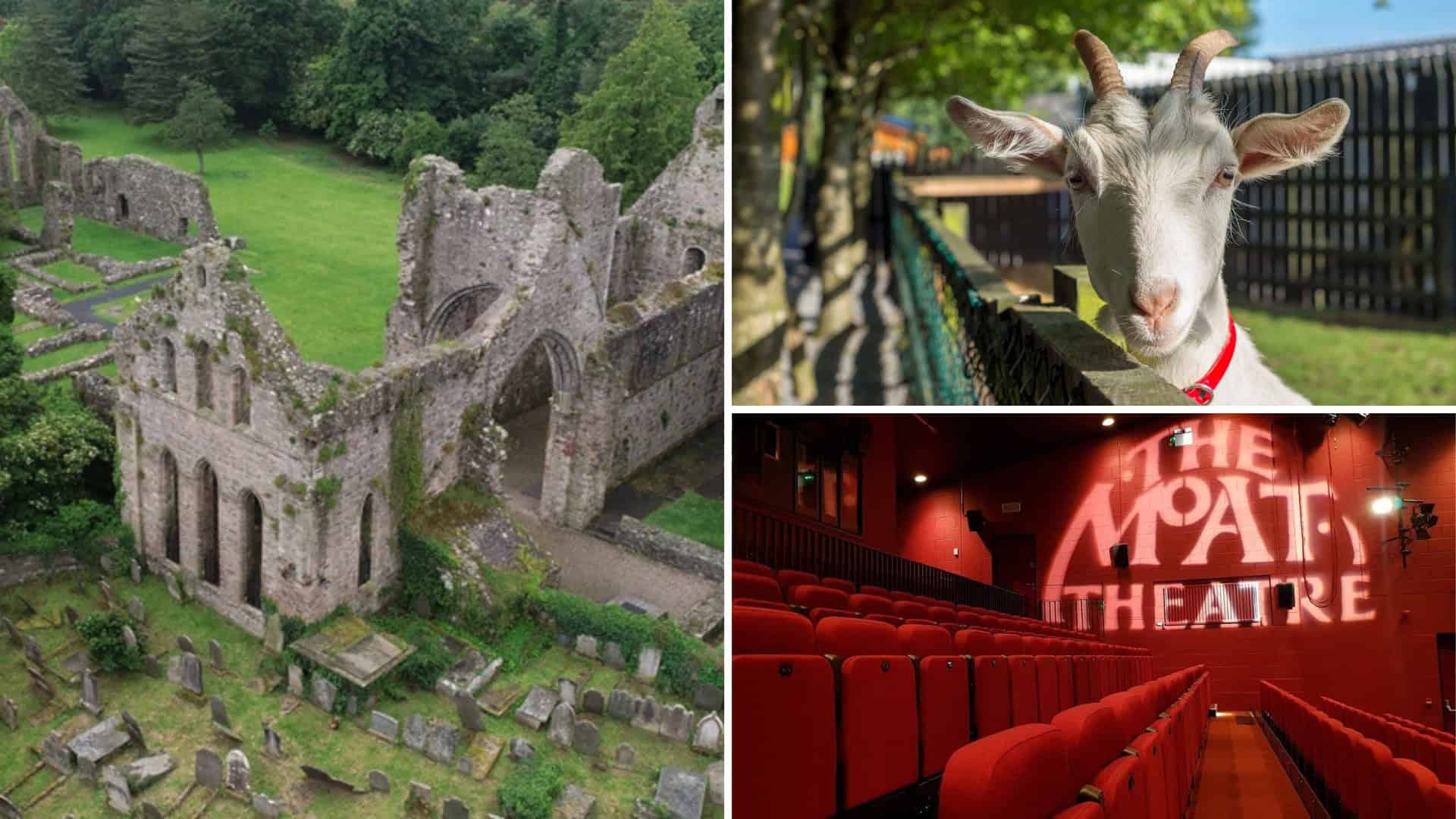 12 Things to Do in Naas