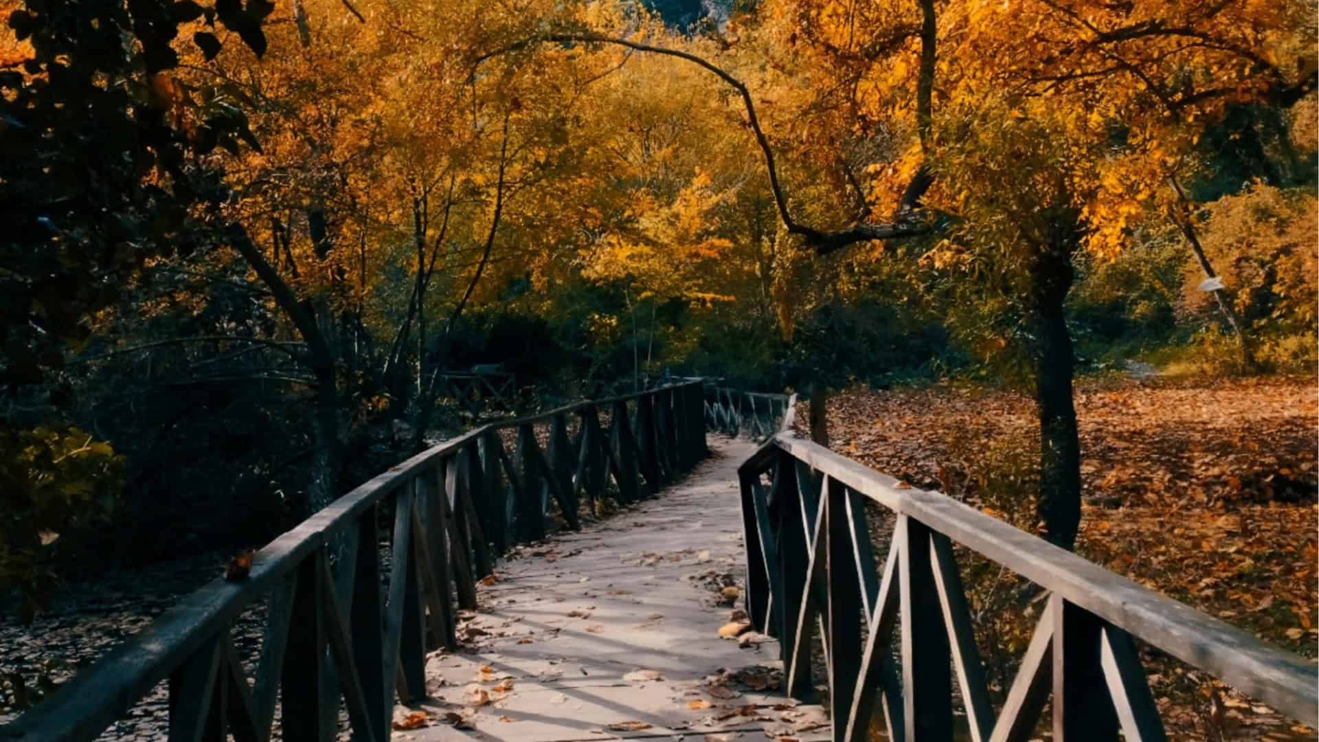Weather in Ireland in November