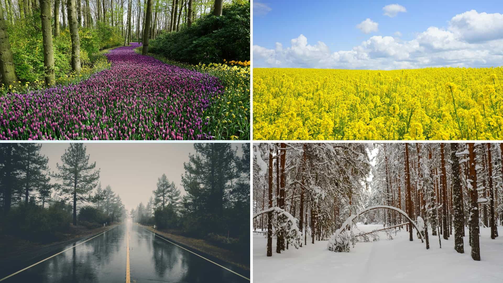 Month by Month Weather in Ireland 2025