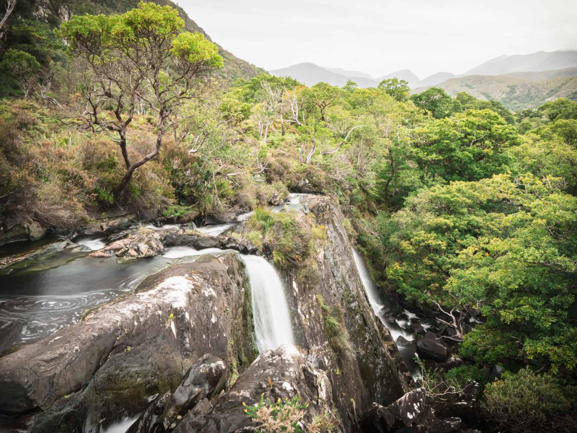 Beautiful waterfall cascading through lush green Killarney National Park, Ireland.