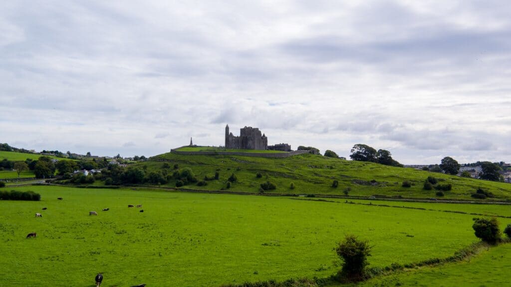 Beautiful landscape of the Rock of Cashel surrounded by green fields and grazing cattle under a cloudy sky.