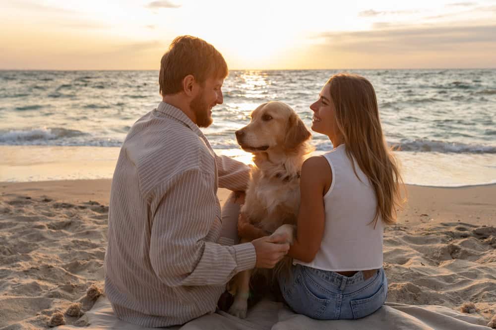 Family with dog on Ballywalter Beach at sunset, Ireland.