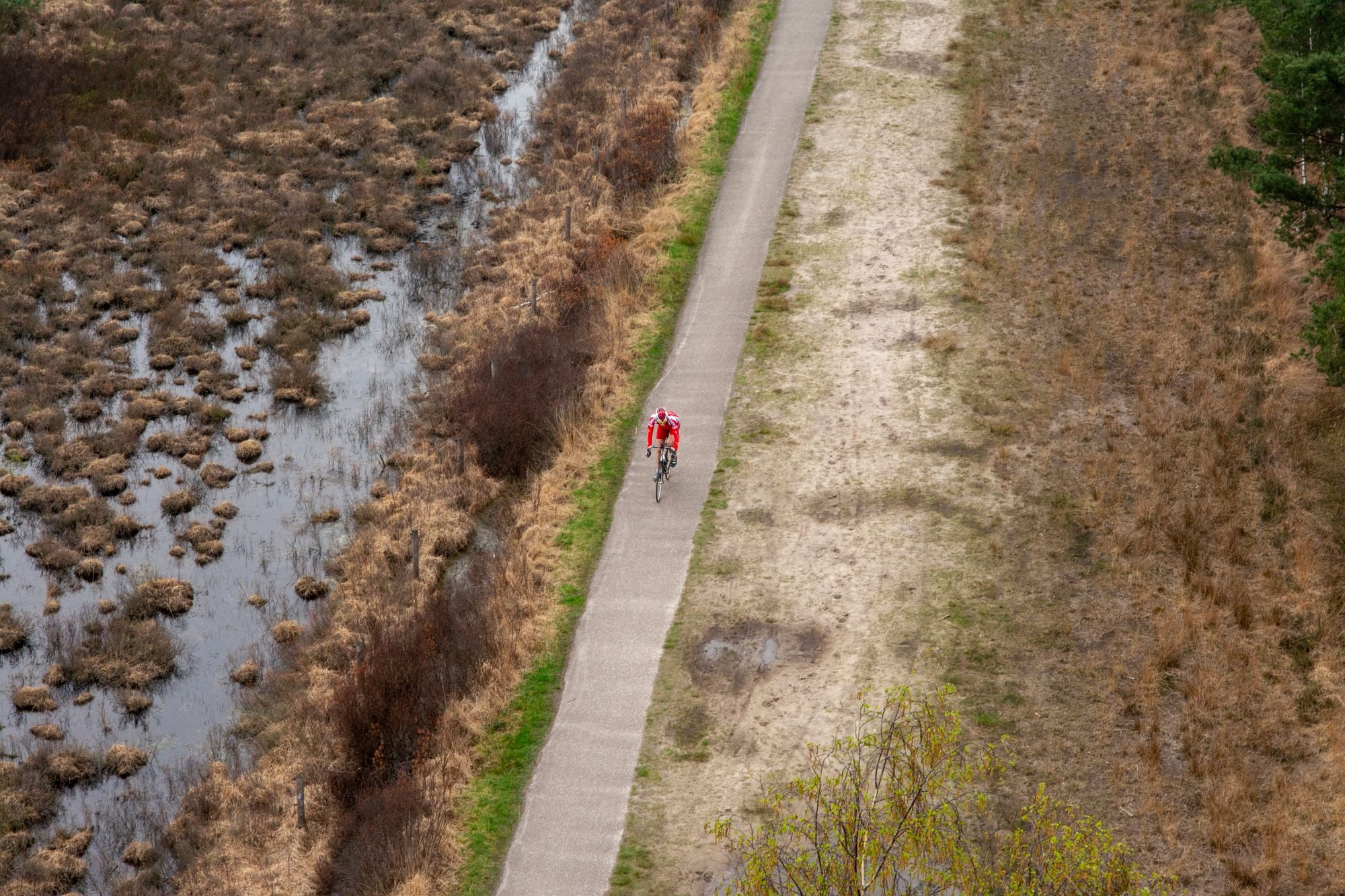 Cyclist in red jersey rides along a rural path surrounded by wetlands and dry grass.
