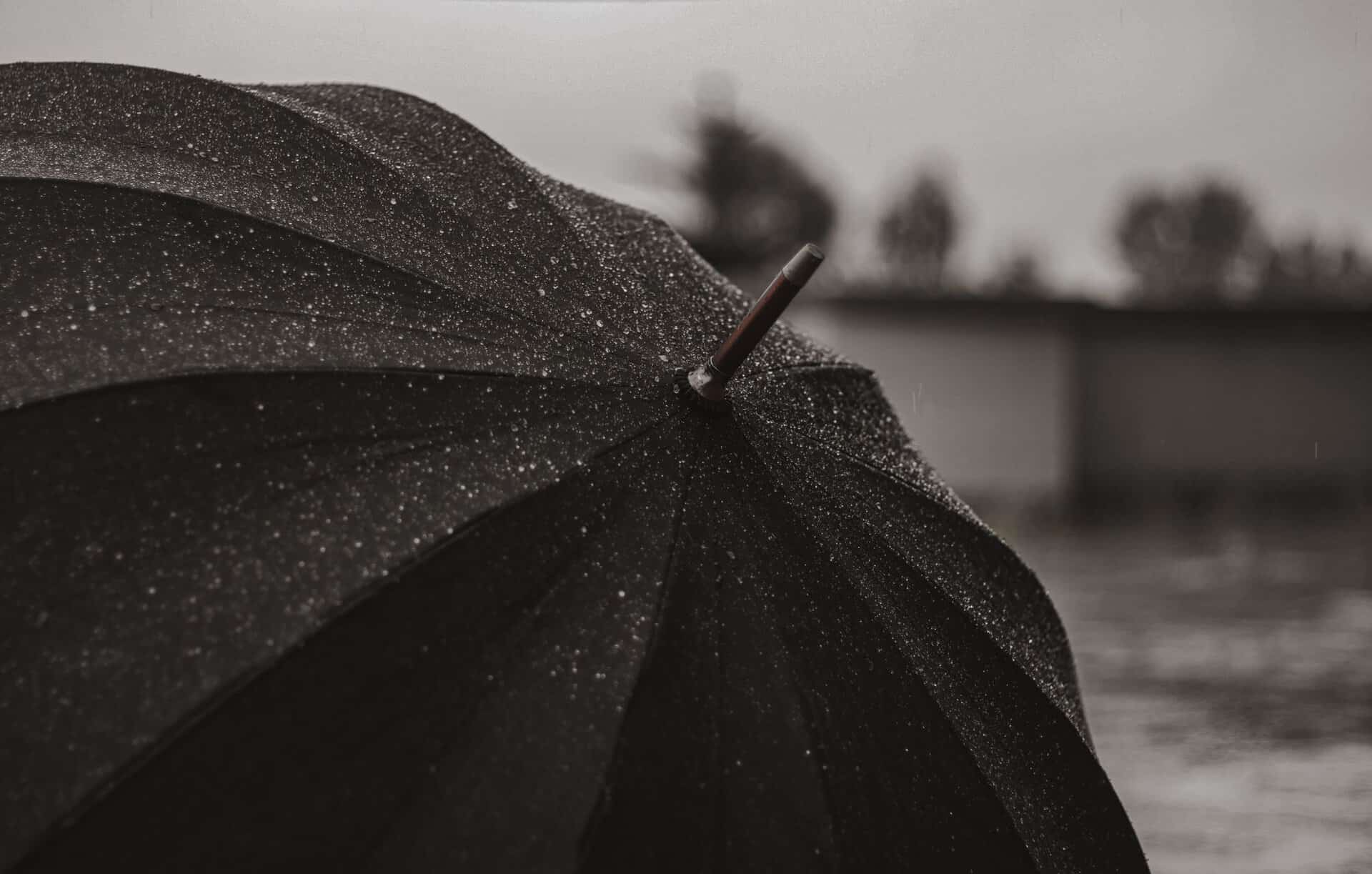 Detailed view of a black umbrella covered in raindrops during rainy weather.