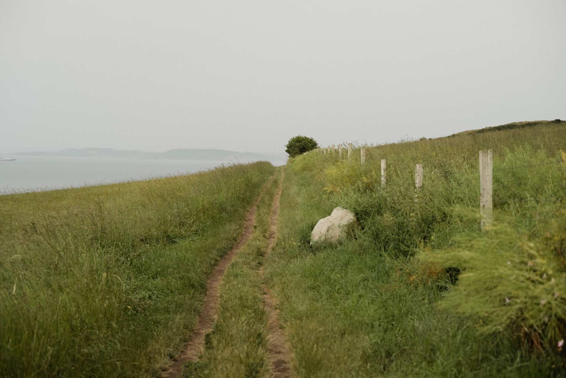 Narrow walkway among grassy terrain with stone pillar leading to misty highlands of green terrain in nature in foggy weather