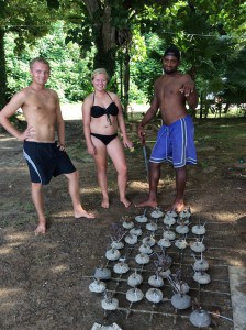 Coral gardening Fiji Island Spirit