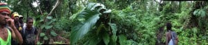 Vanuatu recce trip 2015 adventure