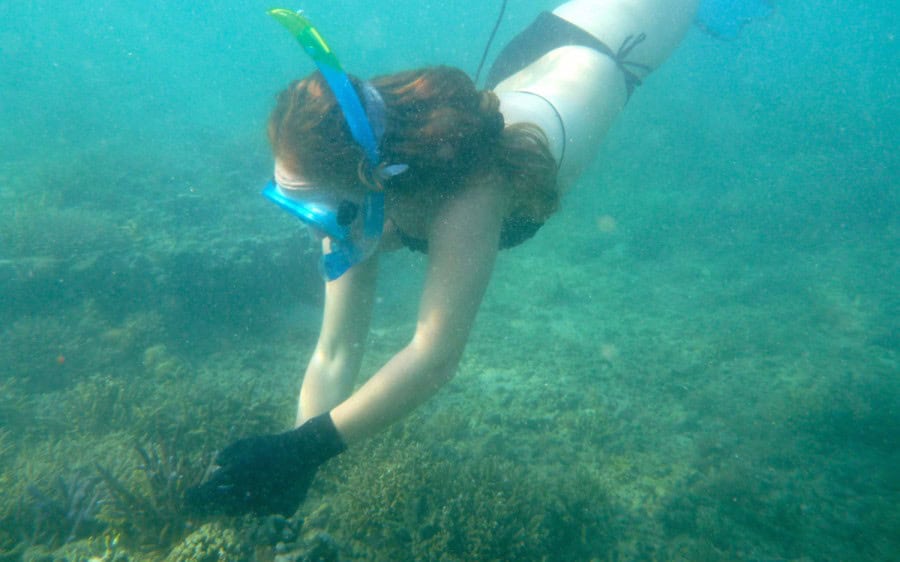 Island Spirit Responsible travel fiji coral gardening. Mermaiding