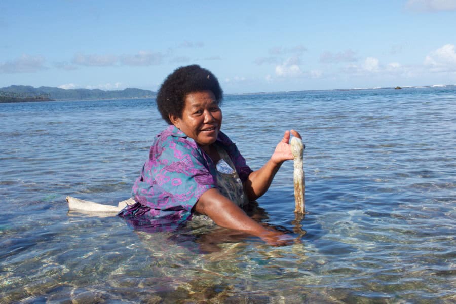 bhs-2016-island-spirit-volunteering-fiji-8