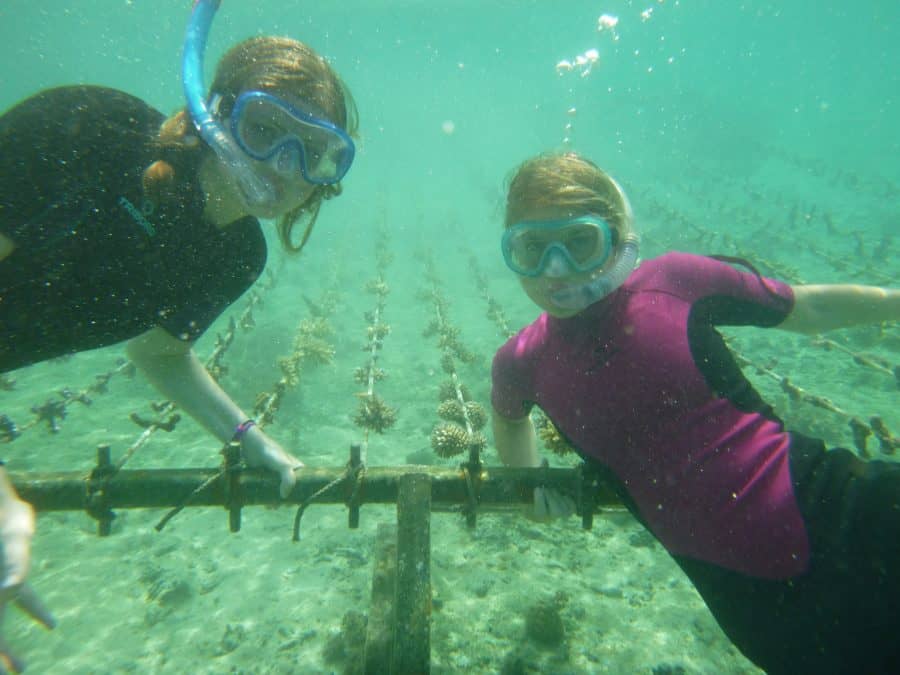 June coral gardening trip 2017 Fiji Island spirit