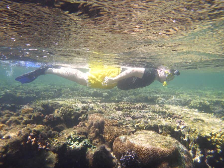May Coral Gardening May Island Spirit Fiji
