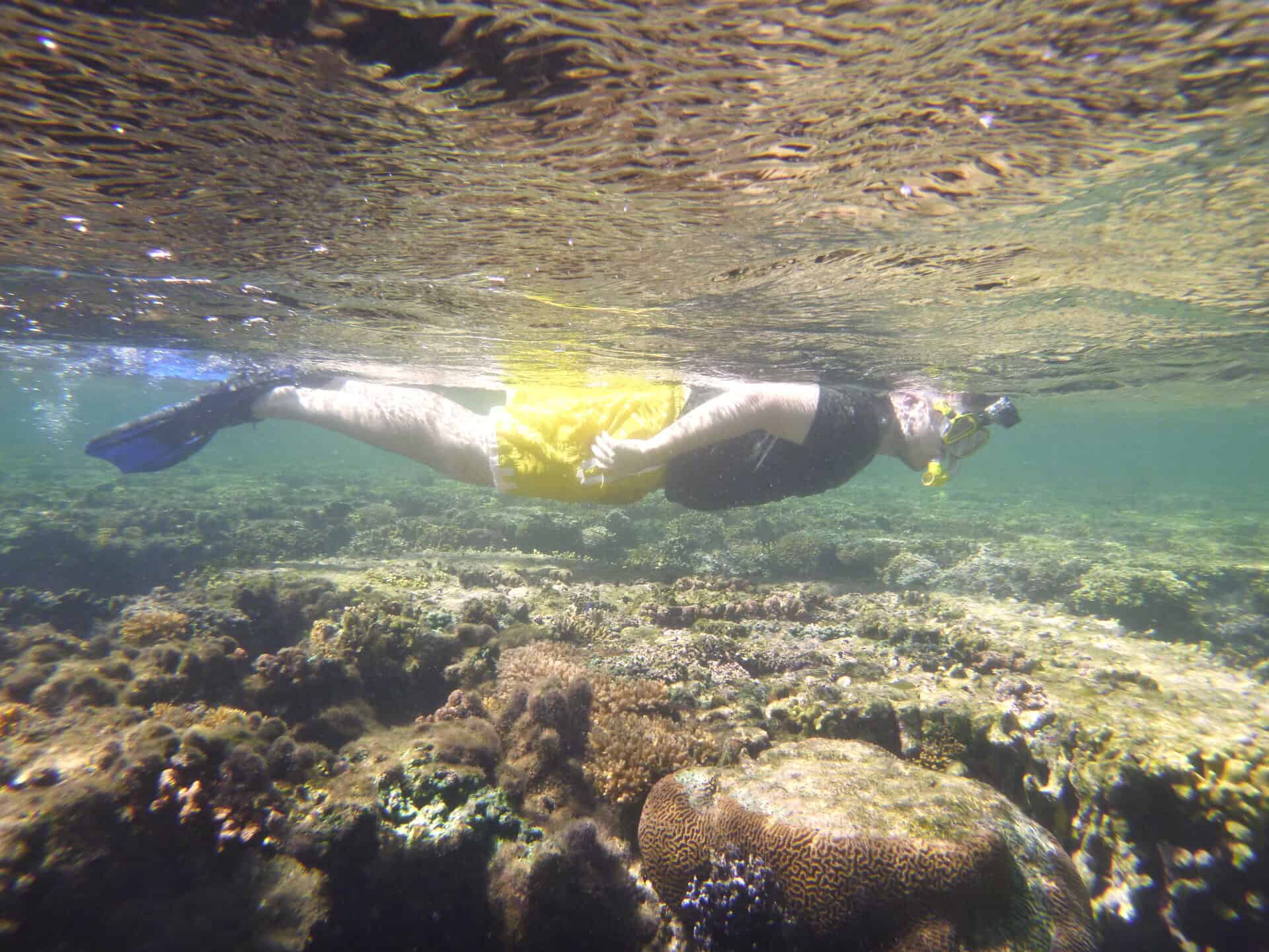 May Coral Gardening May Island Spirit Fiji