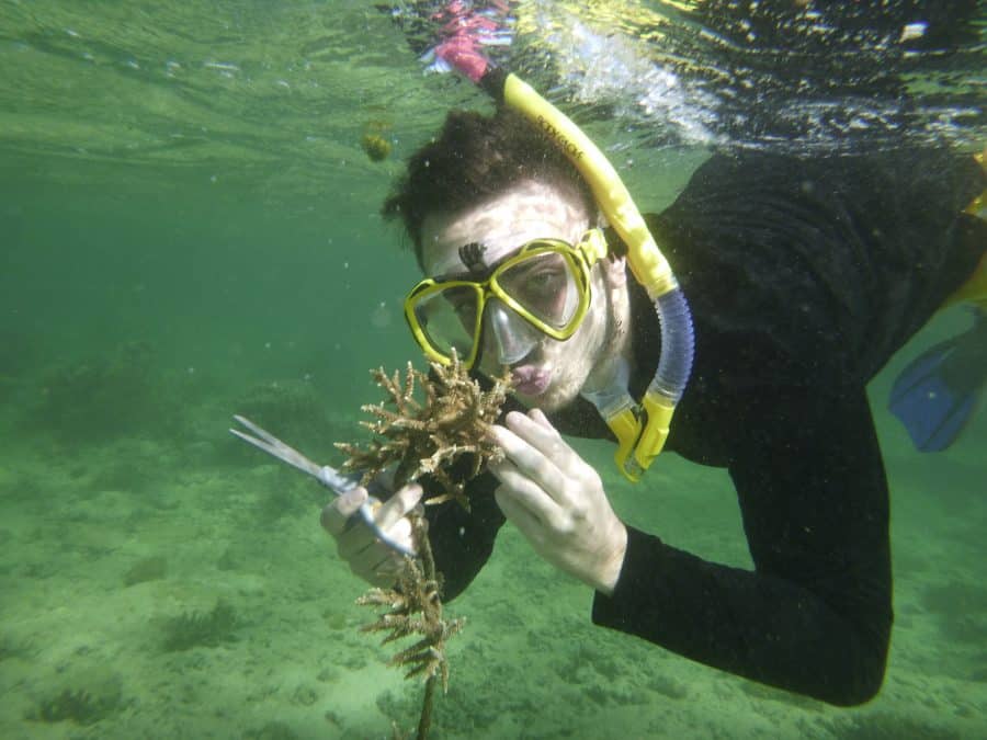 June coral gardening trip 2017 Fiji Island spirit
