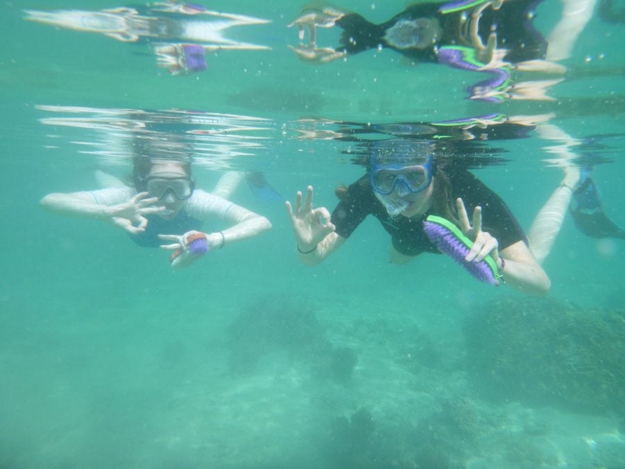 June '17 Fiji coral gardening trip