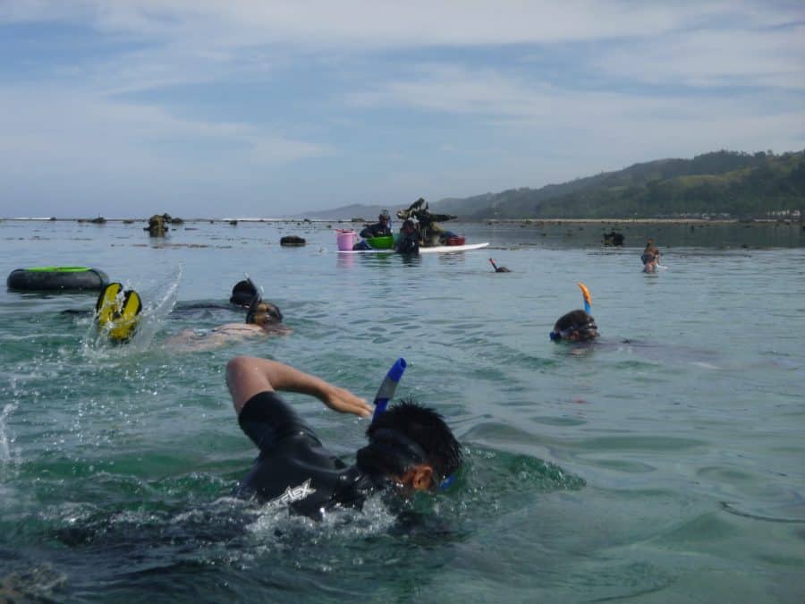 June coral gardening trip 2017 Fiji Island spirit