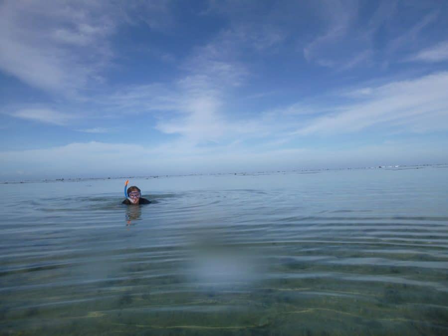 June coral gardening trip 2017 Fiji Island spirit