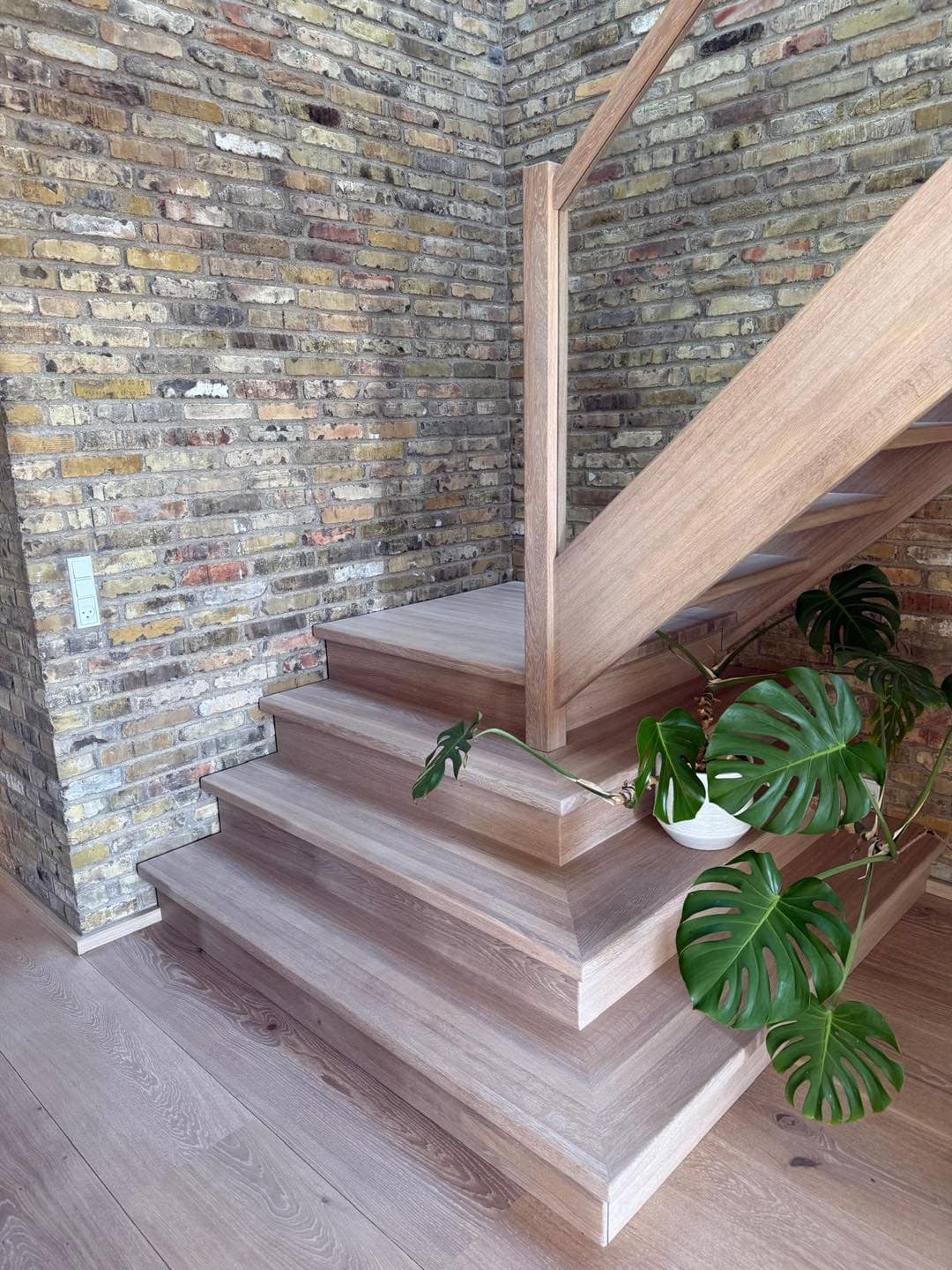 Trappe i træ med moderne design og grøn plante ved siden af.