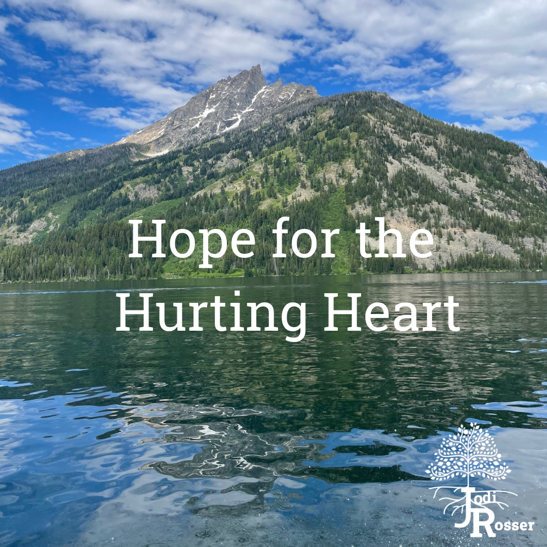 Hope3 for the Hurting Heart