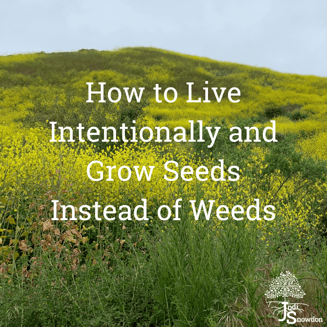 How to Live Intentionally and Grow Seeds Instead of Weeds