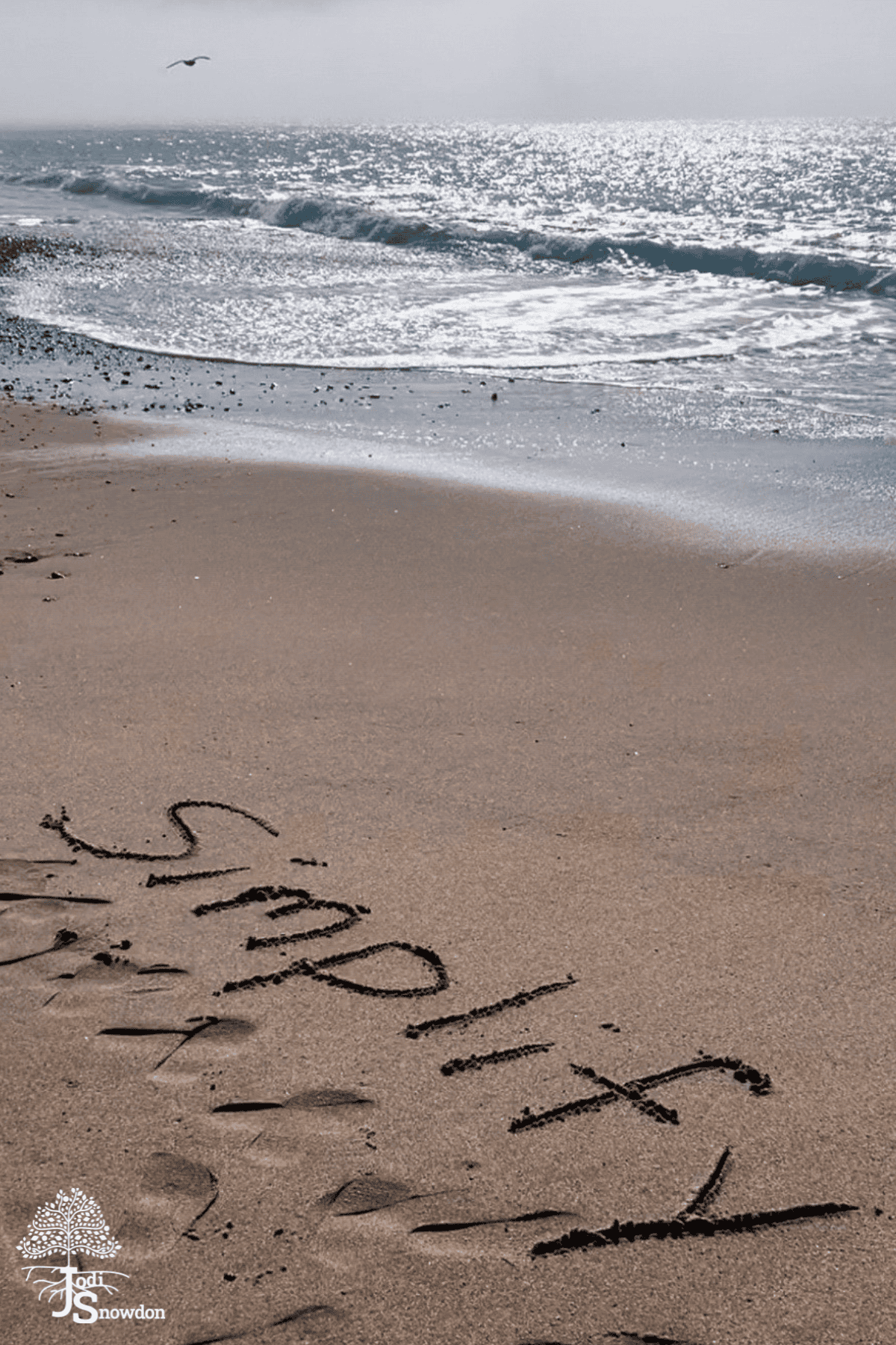 Has God placed a special word on your heart for 2025?