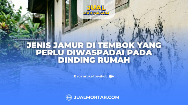 Jenis Jamur di Tembok yang Perlu Diwaspadai pada Dinding Rumah