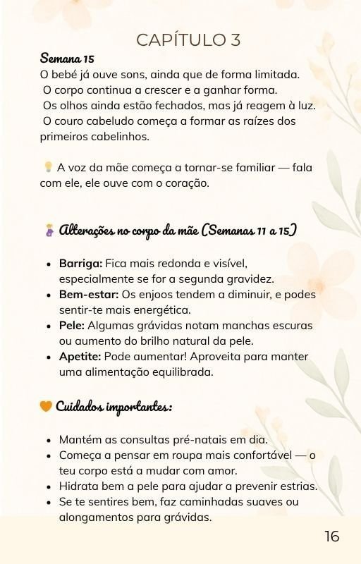 caítulo 3 do ebook A doce viagem da gravidez