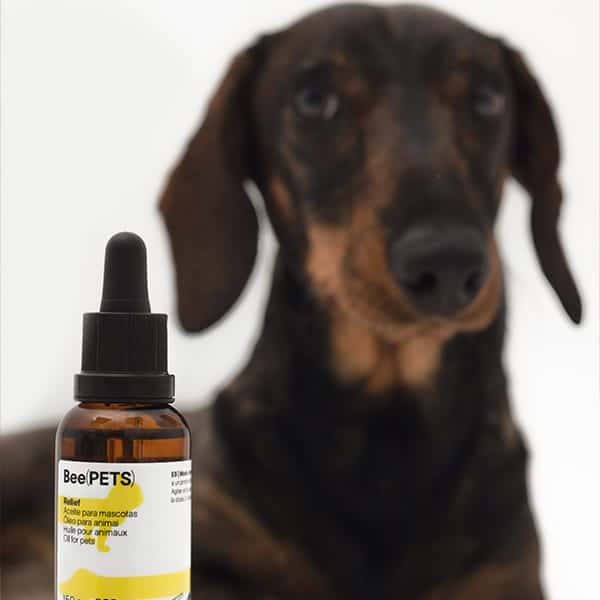CBD Olioa %0,5 Relief – The Beemine Lab – 30ml