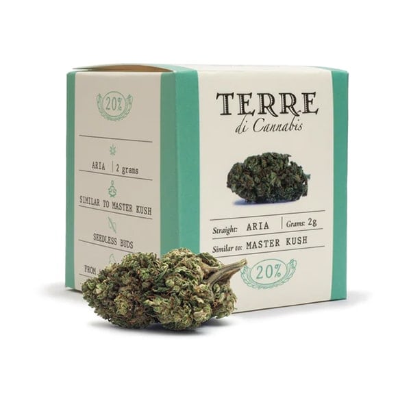 Aria CBD loreak – Terre di Cannabis