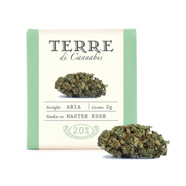 Aria CBD loreak – Terre di Cannabis