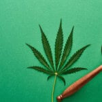 Kannabis medizinalaren erregulazio berria Espainian