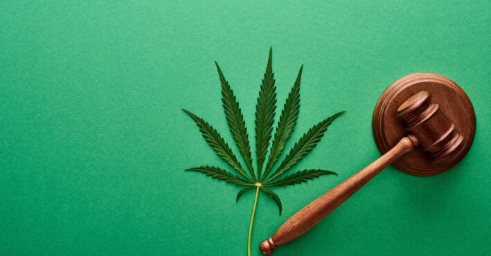 Nueva regulación del cannabis medicinal en España