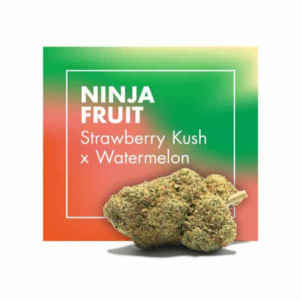 Ninja Fruit (Strawberry Kush) CBD loreak – Cannactiva