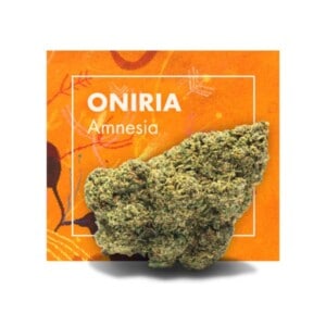 Flores de CBD Oniria (Amnesia) de Cannactiva