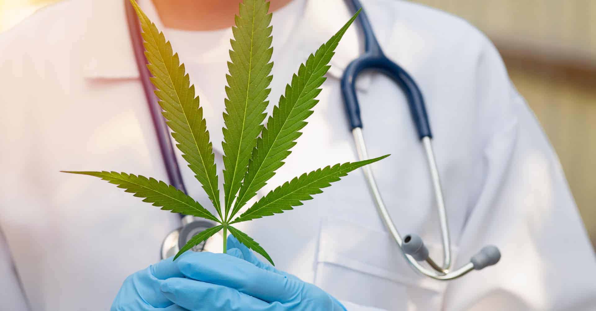 Kannabis medizinalaren prestakin estandarizatuen formulazioa (AEMPS)