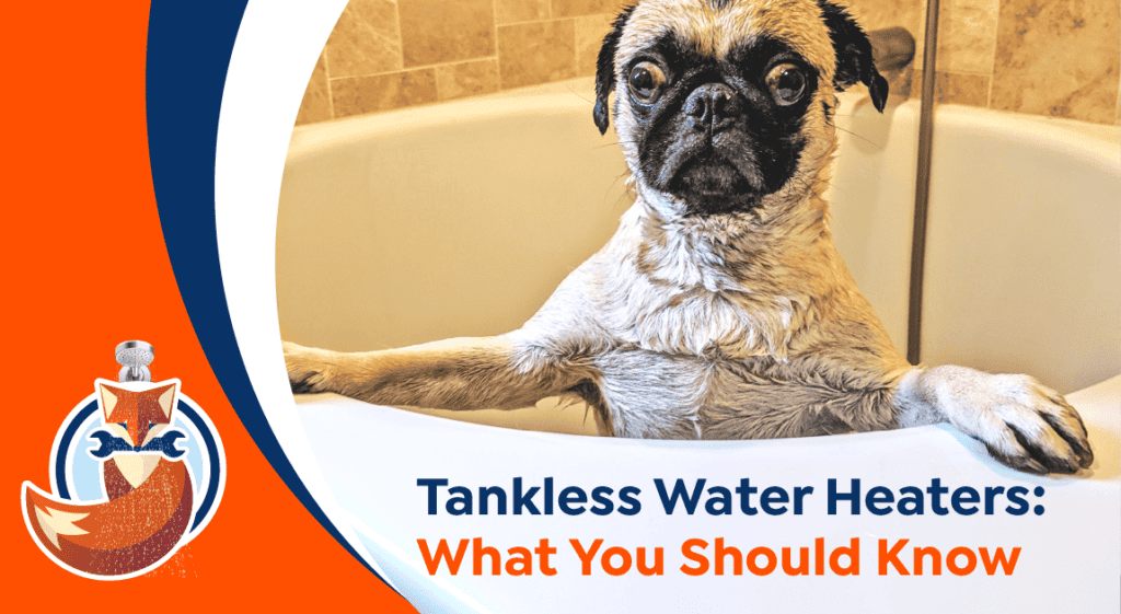A wet pug stands in a white bathtub next to text that reads, "Tankless Water Heaters: What You Should Know," with a fox plumber logo in the corner, highlighting the benefits of upgrading your home's water heaters.