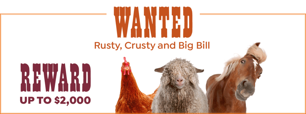 Wanted poster featuring a chicken, a sheep, and a horse labeled "Rusty, Crusty and Big Bill" with a reward offer up to $2,000.