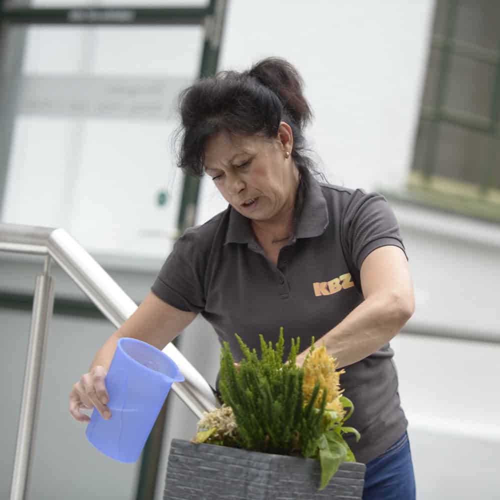 Jadwiga Stepien - Office Support Team KBZ Werbetechnik in Köln Nippes