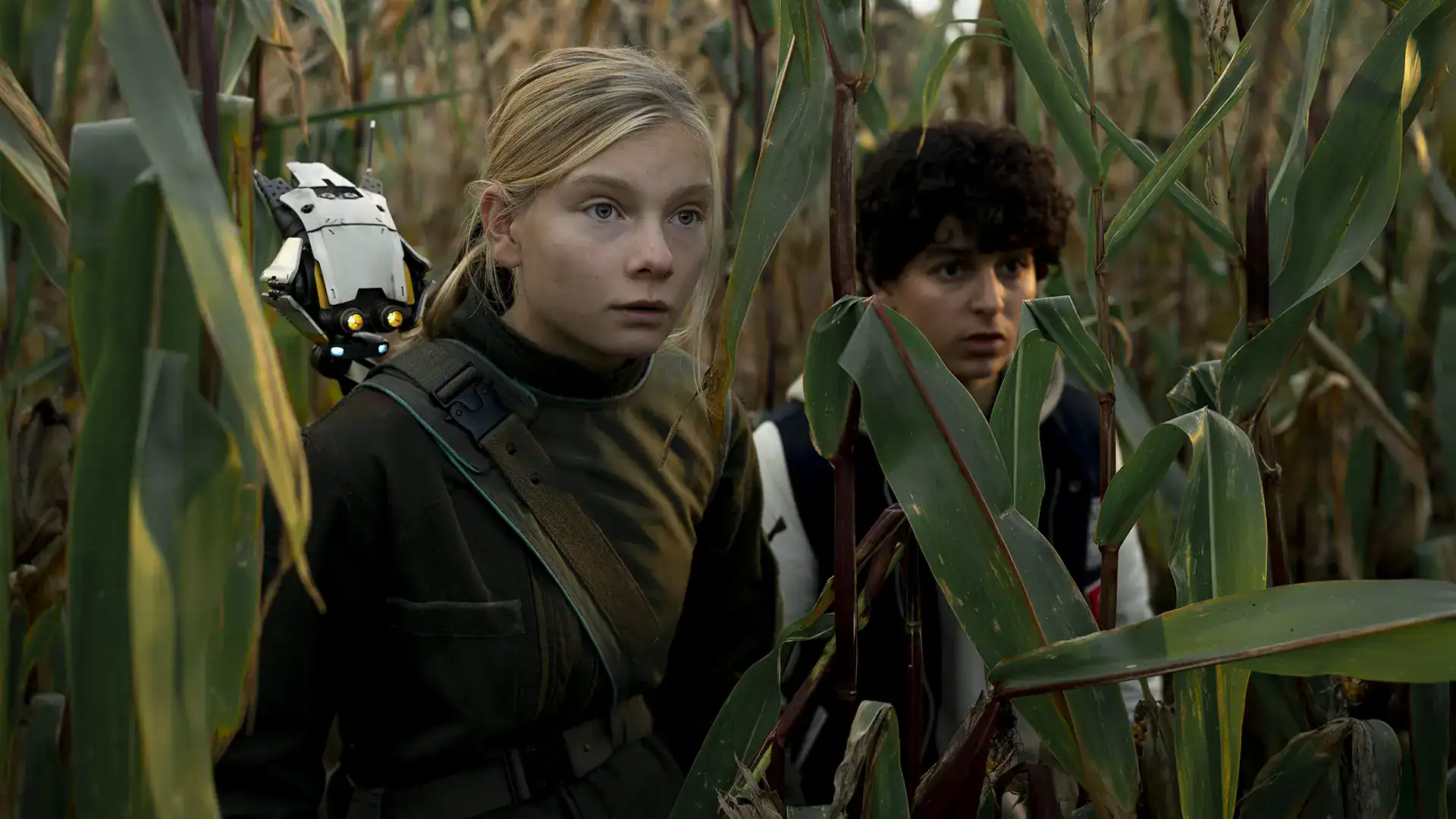 Young explorers navigating through a dense cornfield, showcasing adventure and discovery.