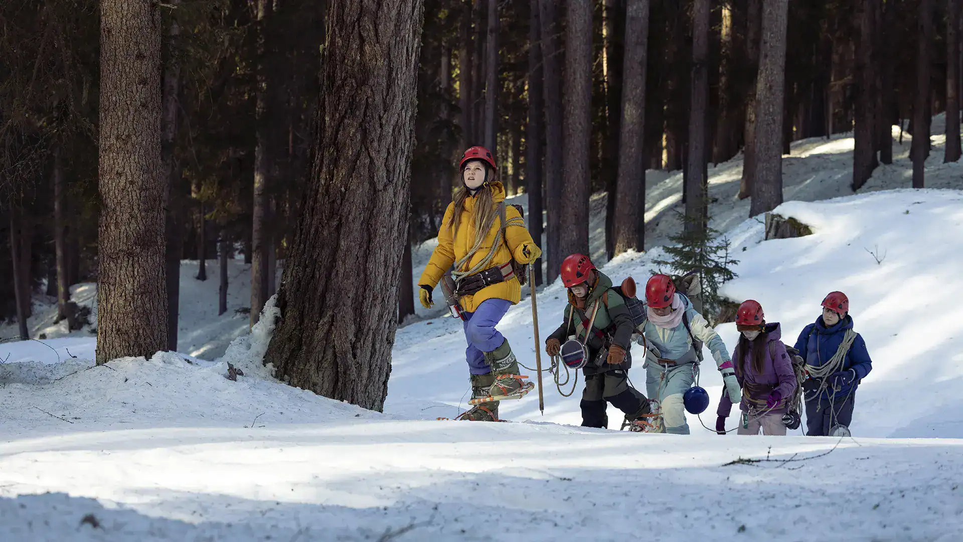 Winter hiking, children, forest, snow, outdoor activity, adventure, family, nature.