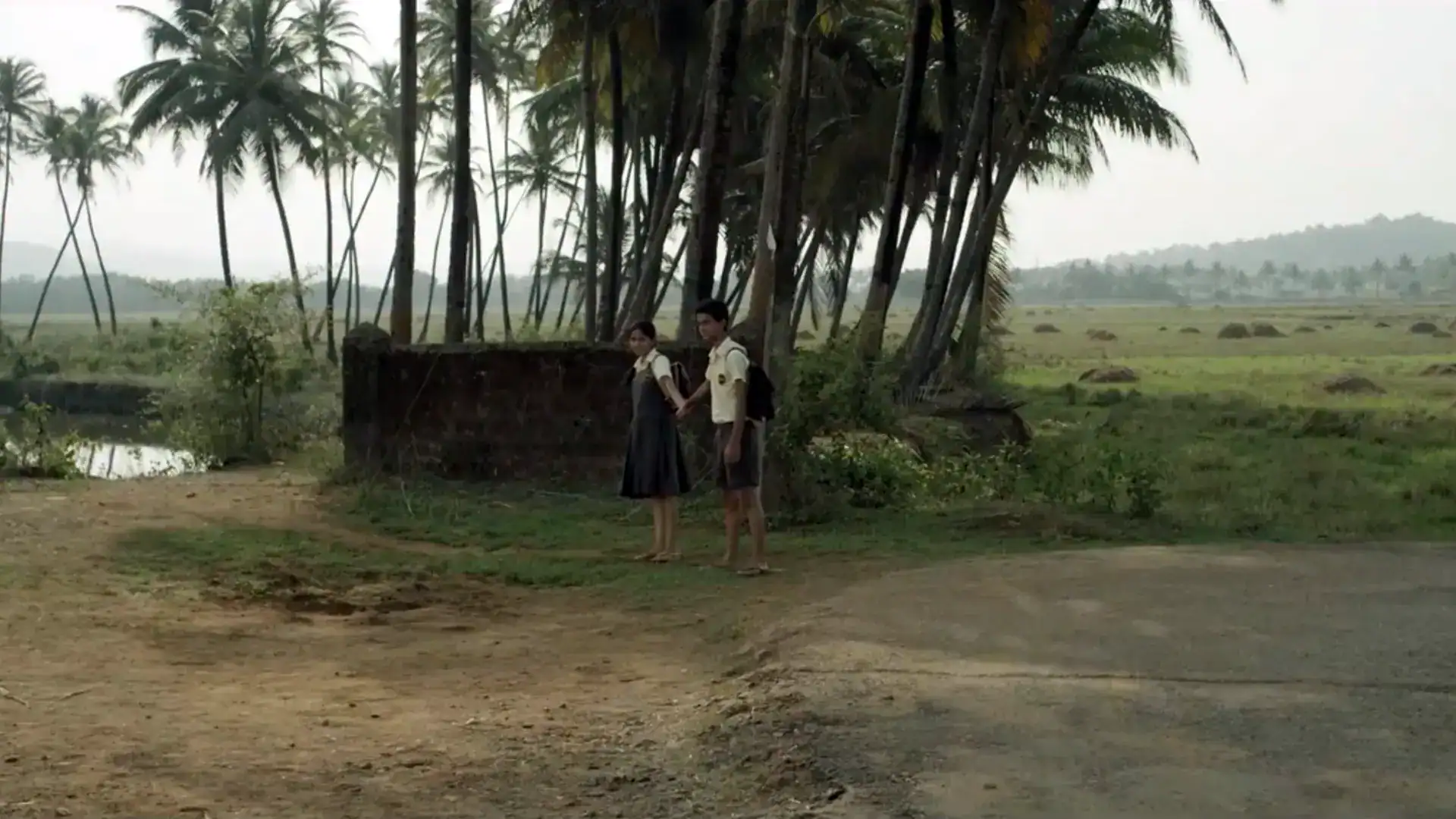 Two children standing near palm trees in a rural landscape, capturing everyday life.
