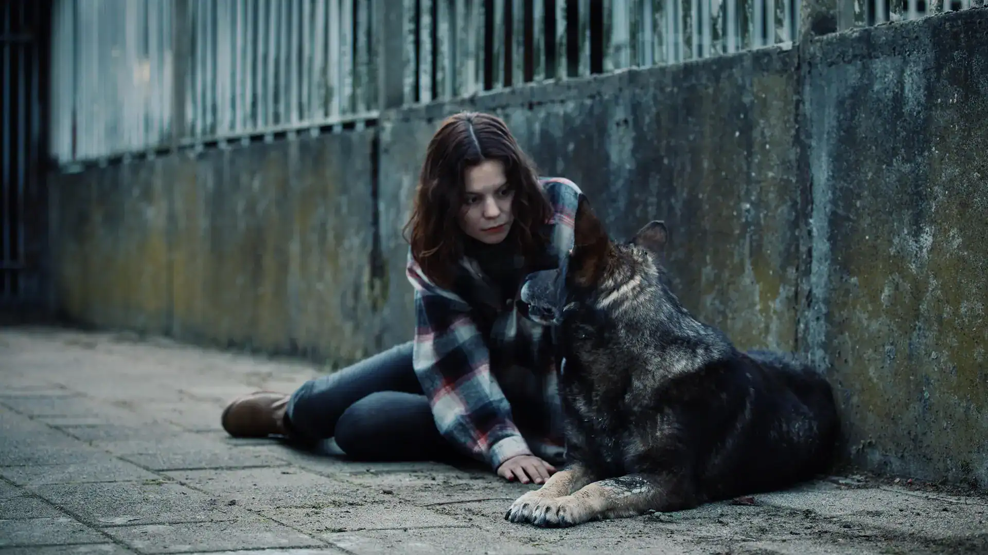 Woman and dog sitting on sidewalk near a fence, engaging in a moment of companionship.