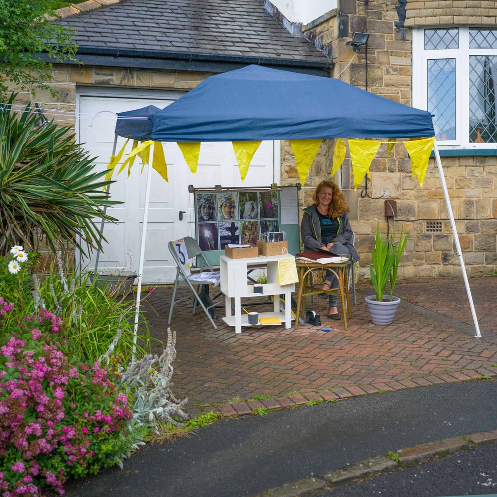 An artist sits under a gazebo on the driveway of her house