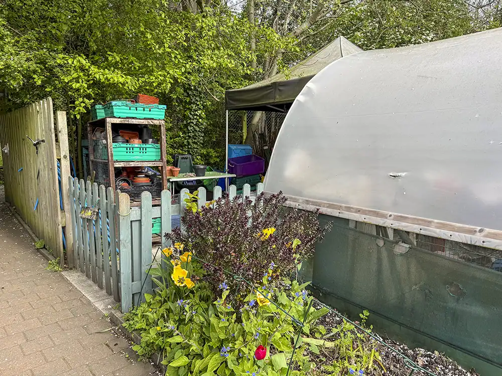 Exterior of Hollybush Conservation Centre, with a polytunnel and the quiet space beyond.