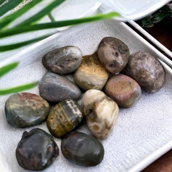Ten Ocean Jasper Tumble Stones, smooth and multicolored, are displayed on a white textured cloth in a tray with green leaves partially visible in the foreground.