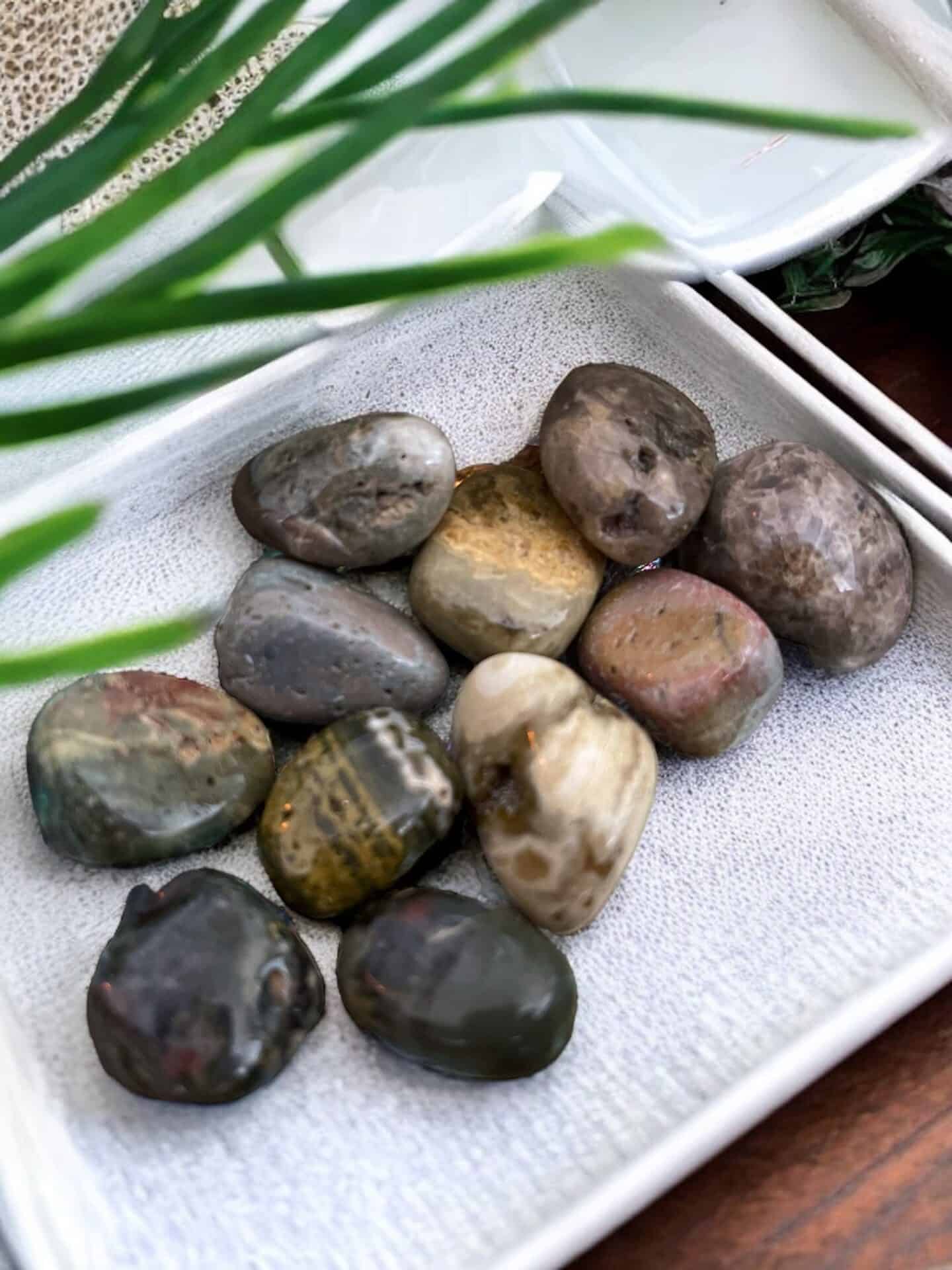 Ten Ocean Jasper Tumble Stones, smooth and multicolored, are displayed on a white textured cloth in a tray with green leaves partially visible in the foreground.