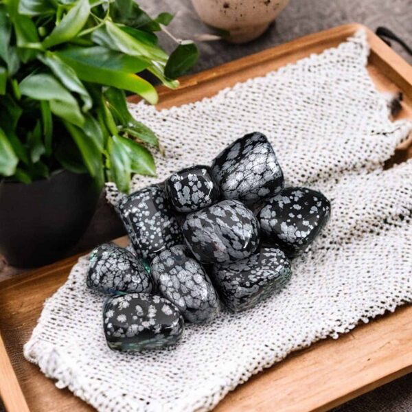 A wooden tray displays polished Snowflake Obsidian Tumble Stones on a woven cloth, accented by green potted plants.